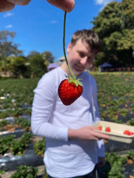 Man looking at a strawberry — NDIS Provider on the Sunshine Coast, QLD
