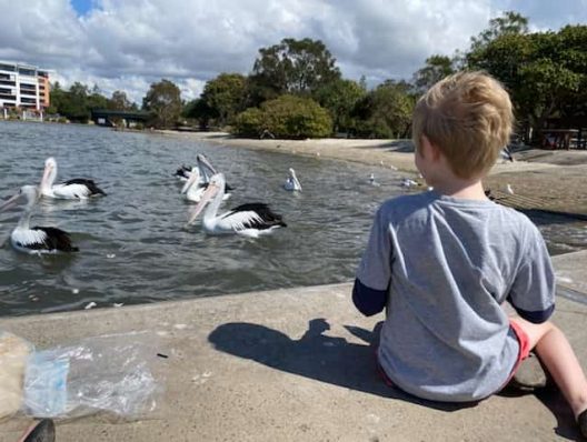 Child Sitting in the park — NDIS Provider on the Sunshine Coast, QLD